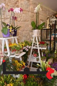 פתיחת החנות של אינאס חיפה ספטמבר 2016 048