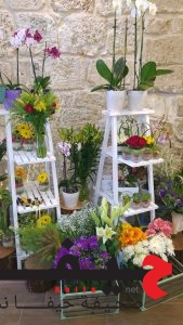 14079962_1104807509557142_8573587051401494358_n